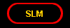  SLM 